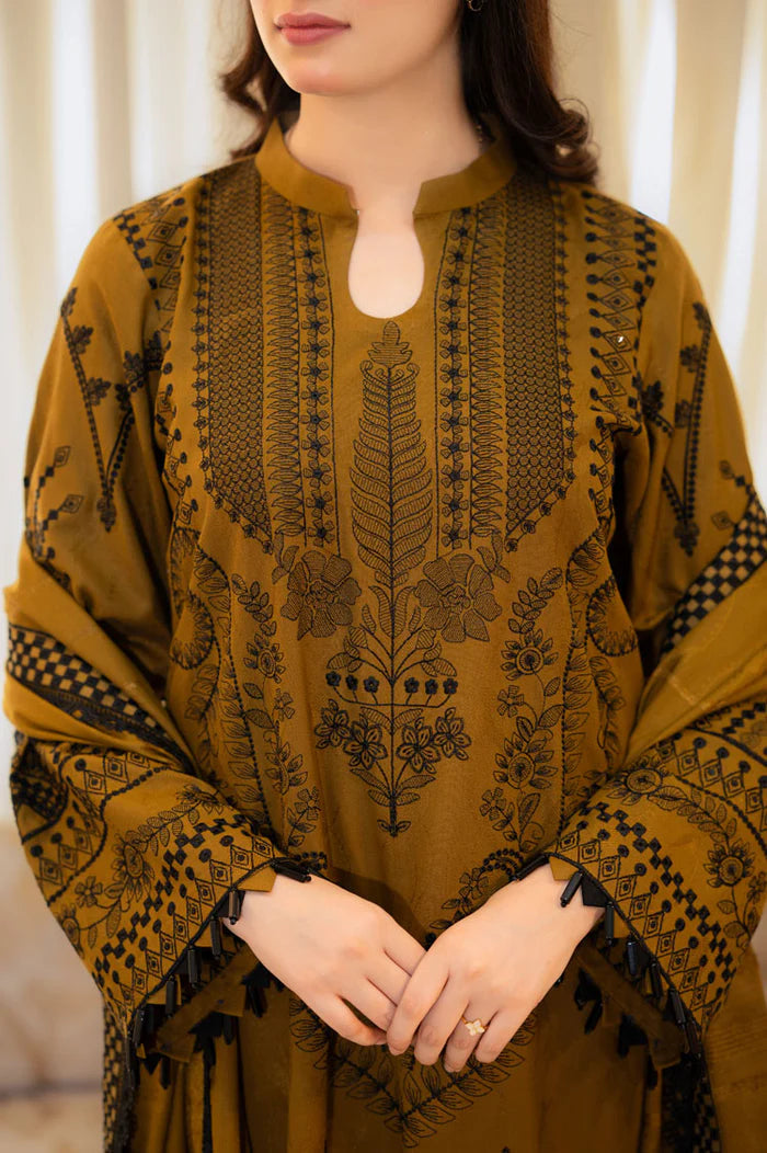 WINTER DHANAK 3PC`25 LF#DP-209 B